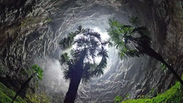 Yeraltında Kayıp Bir Dünya! Çin’de 190 Metre Derinde ‘Cennet Çukurları’ Ortaya Çıktı