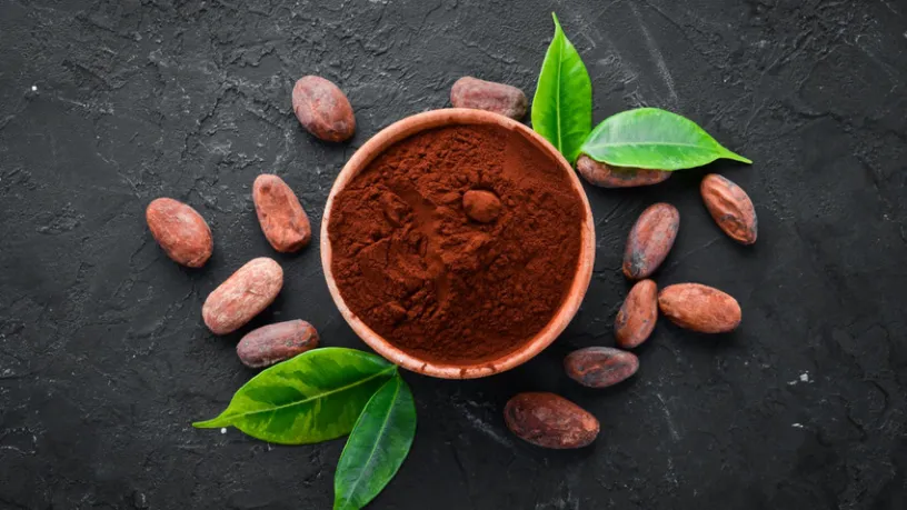 Küresel Kakao Piyasasında Sert Fren ( Kardeş Haber)