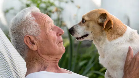 Araştırma: Evcil Hayvanlar Yaşlı Bireylerin Yaşam Kalitesini Artırıyor (Kardeş Haber)