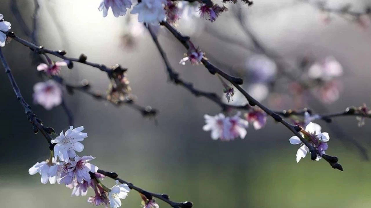 Üçüncü cemre ne zaman ve nereye düşecek? 2026 üçüncü cemre düşme tarihi