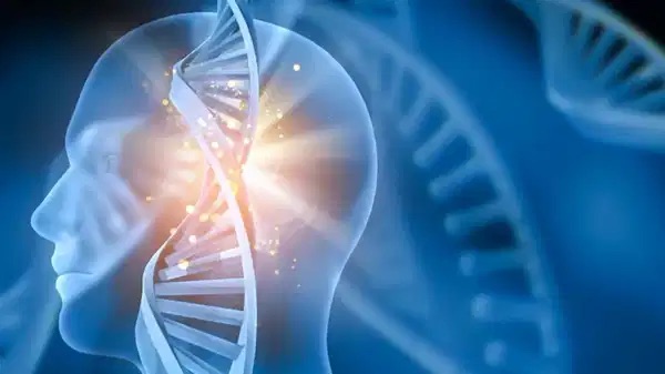 ALS nedir? Belirtileri Ve Tedavisi