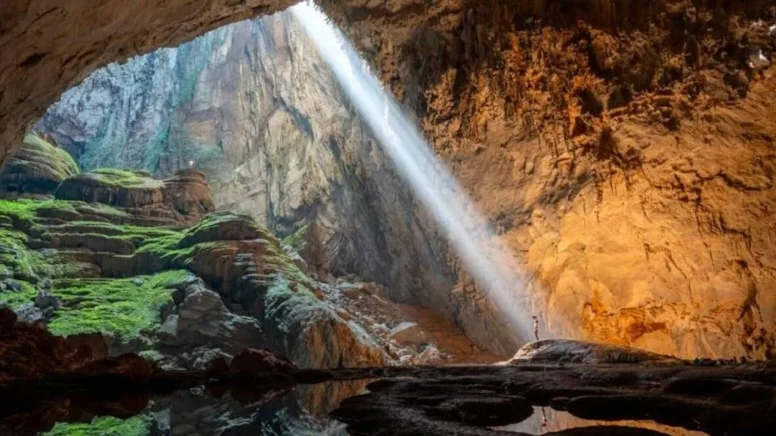 Zamana Direnen Dev: Ormanın Derinliklerinde Kaybolan Efsane Yeniden Bulundu!