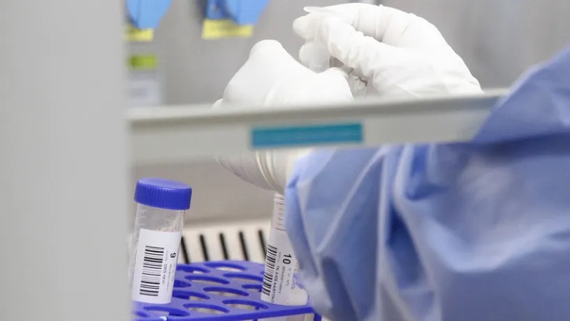 Kanserle Mücadelede İmmünoterapi Dönemi (Kardeş Haber)