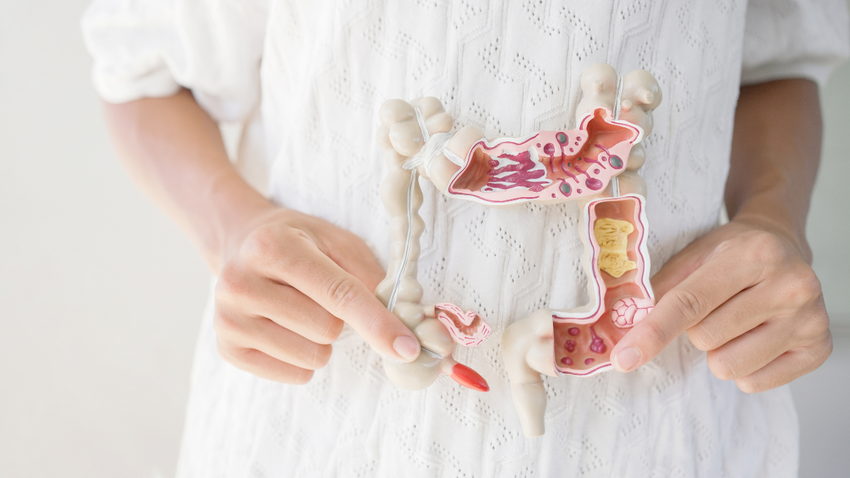 Parkinson Yıllar Öncesinden Tespit Edilebilir mi? İpucu Bağırsakta