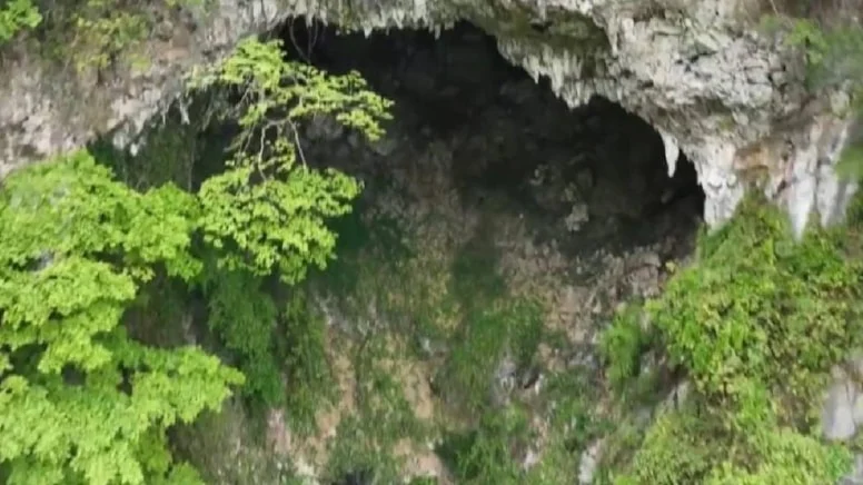 Dünya’nın İçindeki Dünya: Yerin 200 Metre Altında Saklı Kalmış Dev Bir Ekosistem!